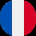France + icon